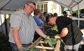 Binden am Donnerstag 033